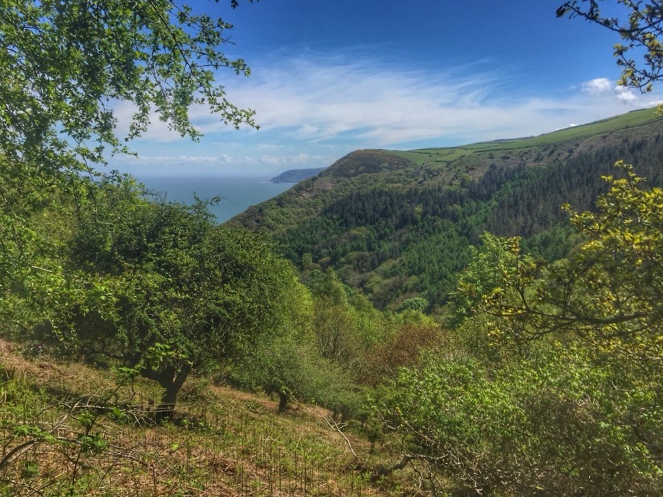 New Exmoor coastal path